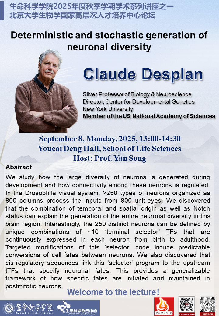 Youcai Deng Hall-Claude Desplan-09.01.png